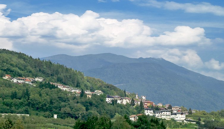 bosentino