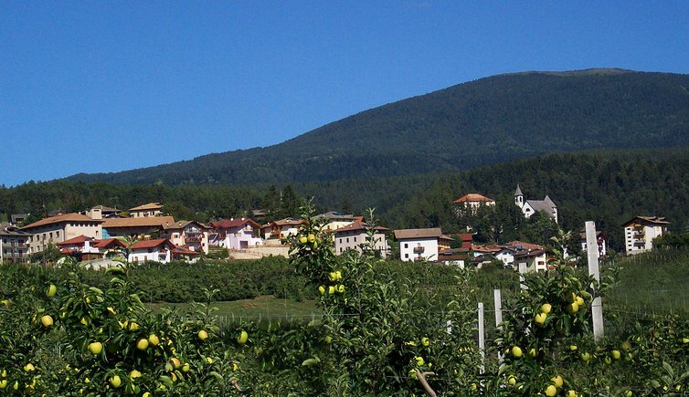 coredo