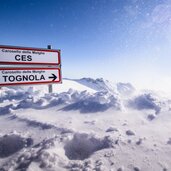 Ces Tognola ph Alessandro Faedda