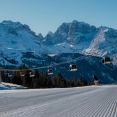 Copia di DSC Caterina Cozzio