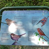 tavola informativa uccelli