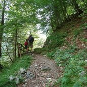 sentiero per malga senaso escursionisti