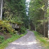 strada forestale per baita bambesta