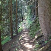 sentiero nel bosco da bambesta verso sadole