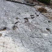 cammino dei dinosauri rovereto lavini di marco orme colatoio chemini