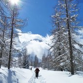 sentiero val venegia e gruppo pale di san martino inverno escursionisti