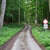 strada forestale per malga bodrina barriera
