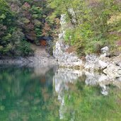 sentiero lago san colombano autunno