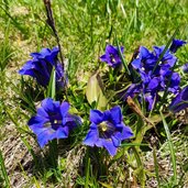 Seenwanderung Predazzo