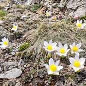 Seenwanderung Predazzo