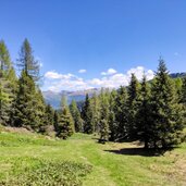 Seenwanderung Predazzo Panorama b