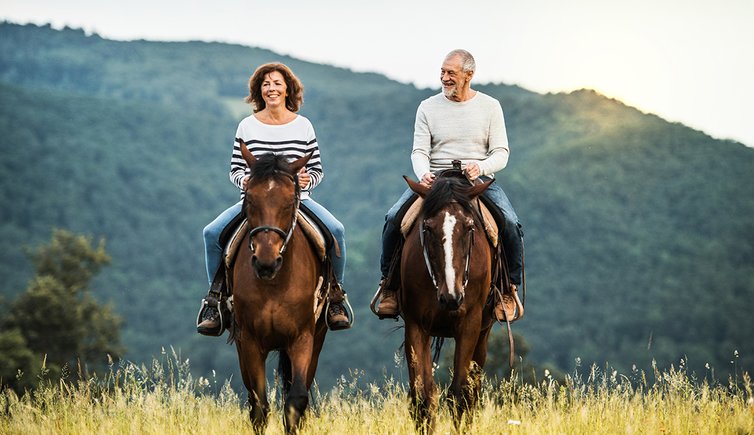 Adobe Stock reiten pferde personen