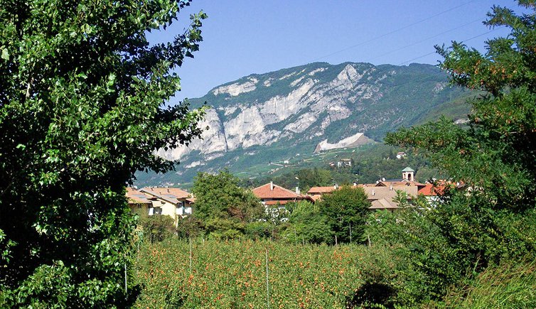 terre d adige nave san rocco tra frutteti