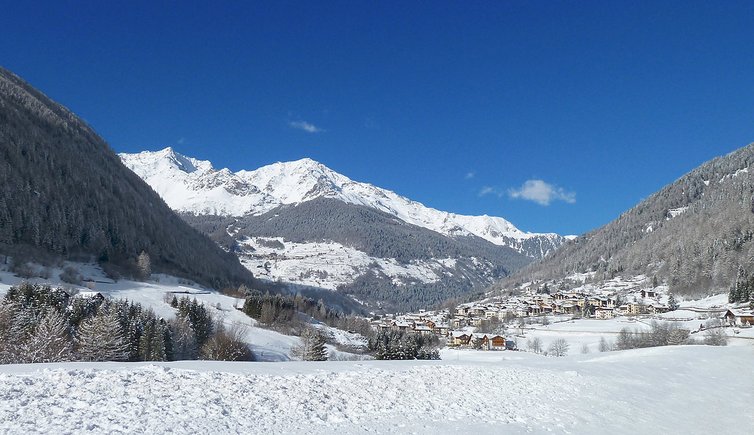 cogolo di peio dintorni inverno