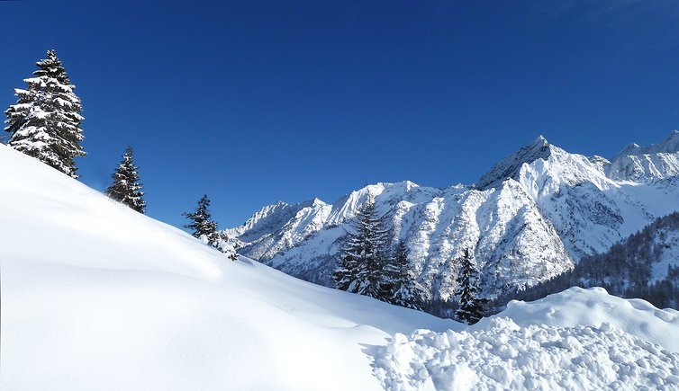 val di sole inverno