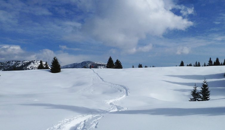 folgaria lavarone luserna inverno