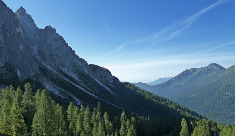 bosco sotto le pale di san martino