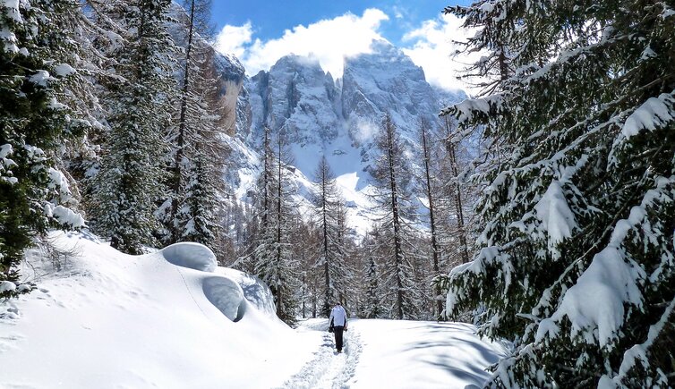 val venegia sotto pale di s martino inverno nebbia nuvole