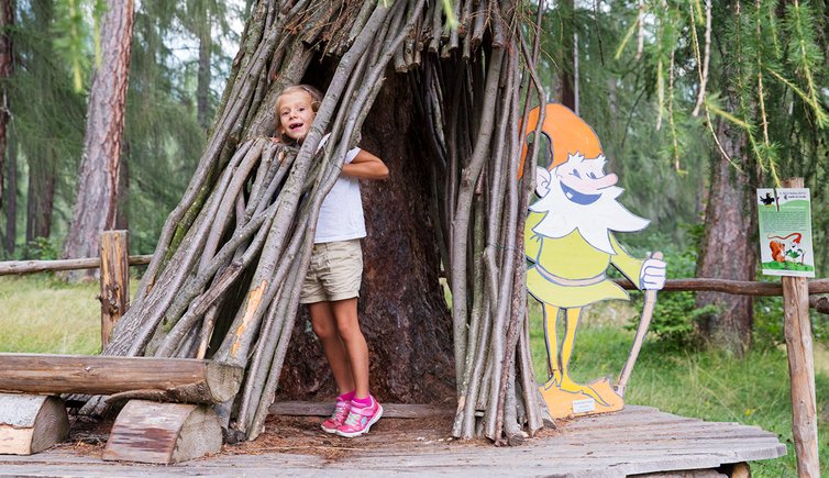 il bosco nascosto di daiano folletto persona