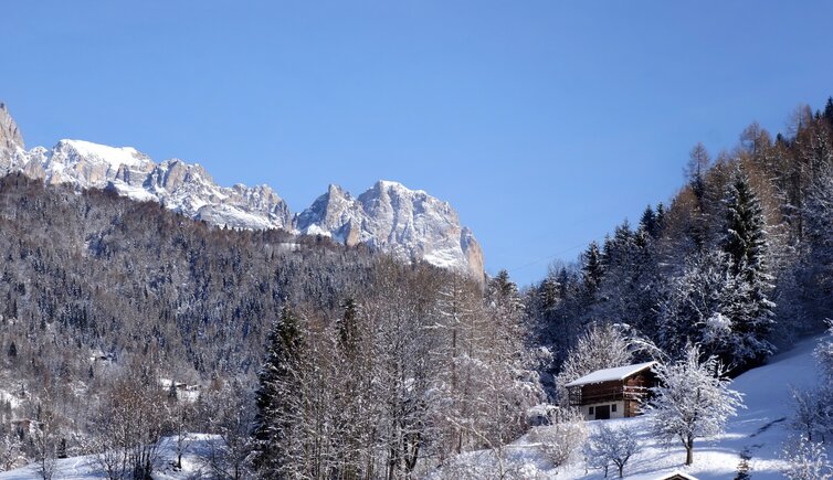 modificata RS C vista da ormanico verso pale di san martino inverno fr