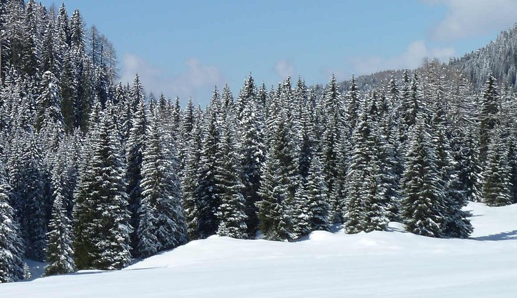 monte bondone inverno