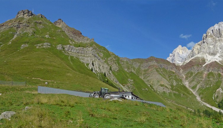 trentino passo rolle panorama passo rolle tn