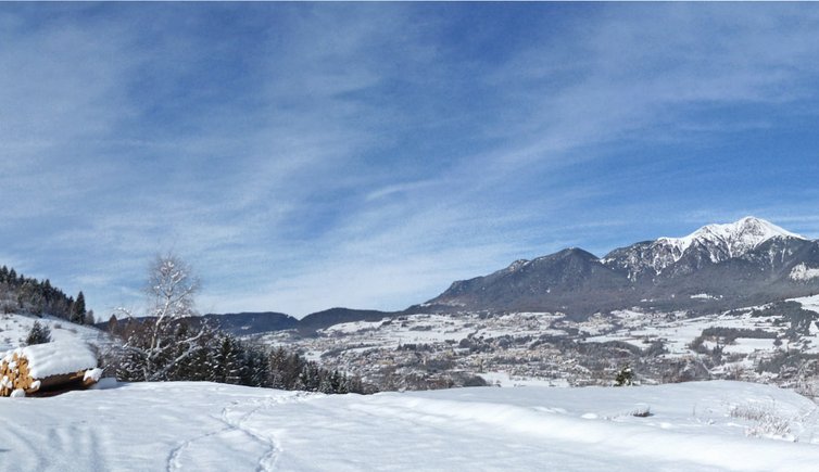 trentino valdifiemme val di fiemme cavalese winterpanorama def