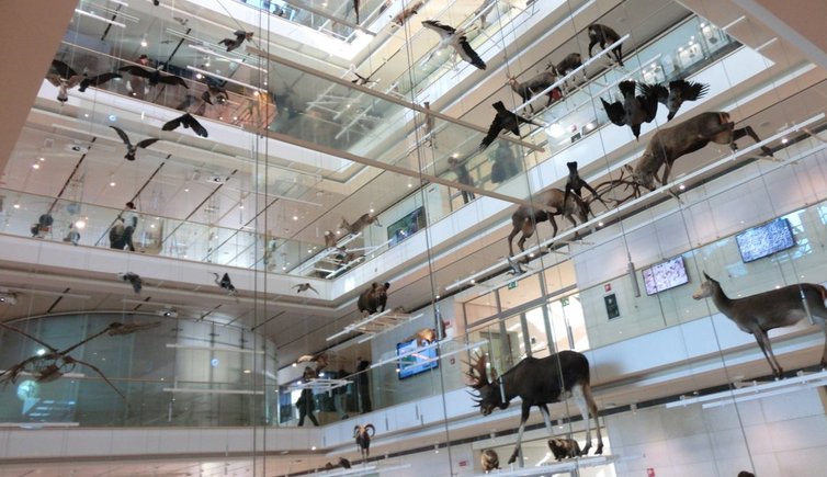 Muse Science Museum Of Trento Trentino Italy