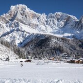 (C)Enrica Pallaver Dolomites Web 