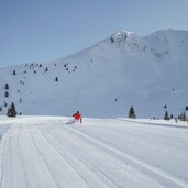 (C)Thomas Monsorno One More FW web