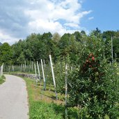 meleti presso caldes val di sole pista ciclabile