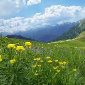 passo feudo e catena del lagorai