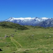 prati presso lago spinale sfondo adamello