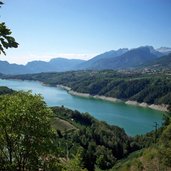 cagno lago di santa giustina