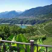 revo banane lago di santa giustina