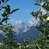 tuenno meleti e dolomiti di brenta