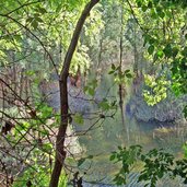 mori nago biotopo lago di loppio