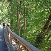 mori pista ciclabile per garda presso biotopo di loppio