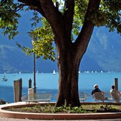 riva del garda lago panchine