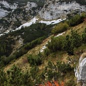 Trentino Passo di S Antonio autunno Oberhalbder Waldgrenzesteigteinemein Geruchscocktailaus Latschenkieferundandernen Nadelbaeumenindie Nase