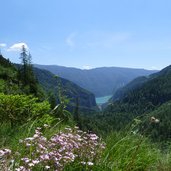 vista verso lago di molveno valle delle seghe