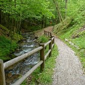 passeggiata tra i boschi del biotopo di pize