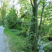 sentiero accanto al rio ponale