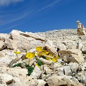 sporadici segnavia tra le pietre