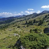 prati alpini del lagorai presso bombasel