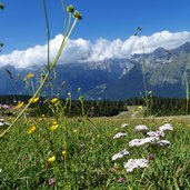 prati presso malga terlago