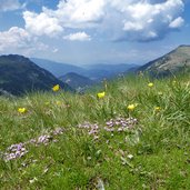 blumen und zanggenberg