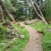 latemar weg nr wald