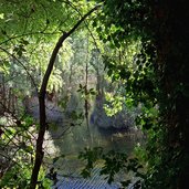 mori nago biotopo lago di loppio