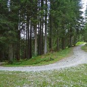 dolomiti di brenta bike tra campo carlo magno e dimaro